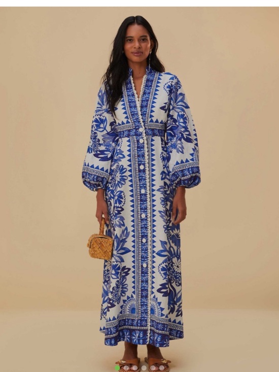 FARM Rio Dresses & Skirts - FARM Rio Blue and White Floral Button-Front Maxi Dress